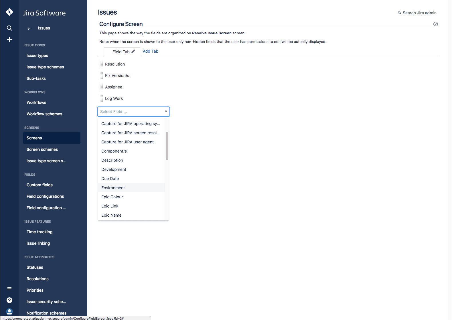 Issue fields